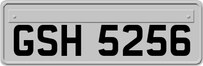 GSH5256