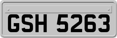 GSH5263