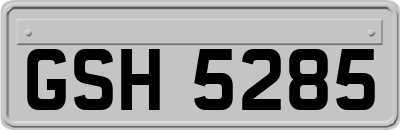 GSH5285
