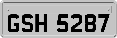 GSH5287
