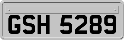 GSH5289