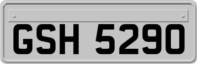 GSH5290