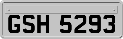 GSH5293