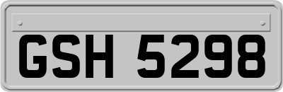GSH5298