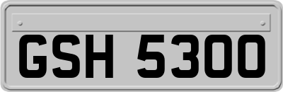 GSH5300