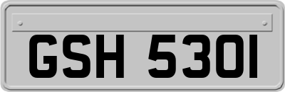 GSH5301