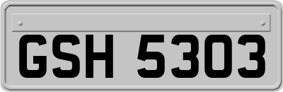 GSH5303
