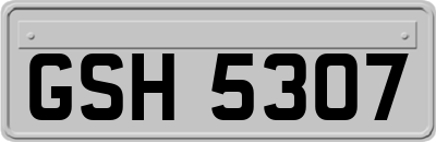 GSH5307
