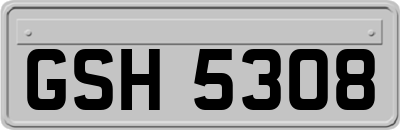 GSH5308