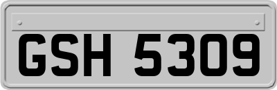 GSH5309