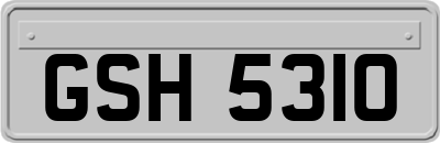 GSH5310