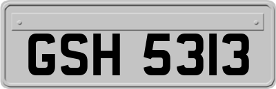GSH5313