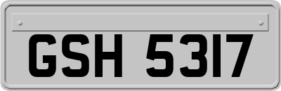 GSH5317