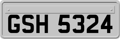 GSH5324
