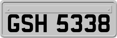 GSH5338