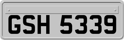 GSH5339