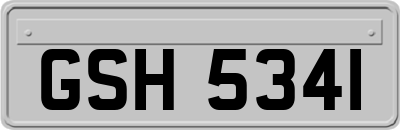GSH5341