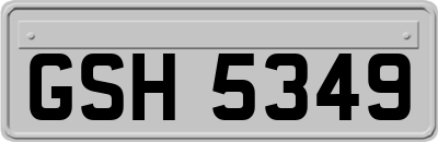 GSH5349