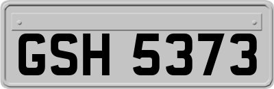 GSH5373