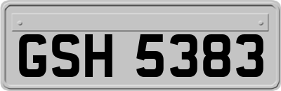 GSH5383