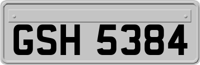 GSH5384