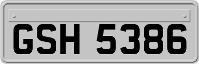 GSH5386