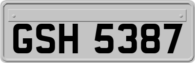 GSH5387
