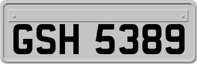 GSH5389