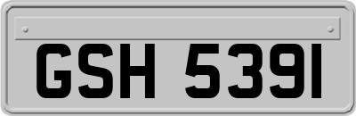 GSH5391