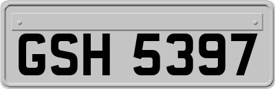GSH5397