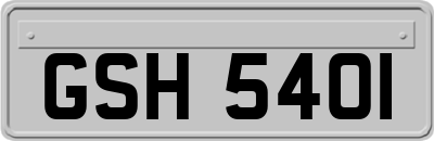 GSH5401