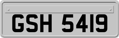 GSH5419