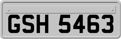 GSH5463