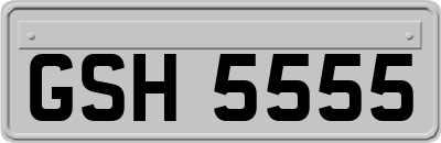 GSH5555