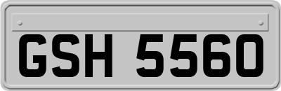 GSH5560