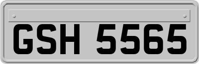 GSH5565