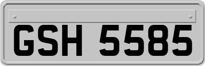 GSH5585