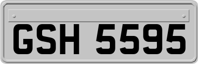 GSH5595