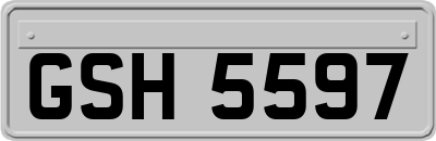 GSH5597