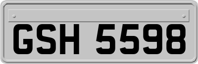 GSH5598