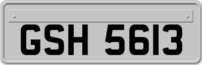 GSH5613