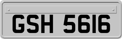 GSH5616