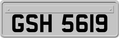 GSH5619