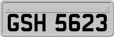 GSH5623