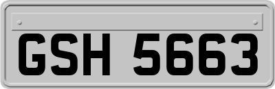 GSH5663