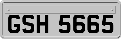 GSH5665