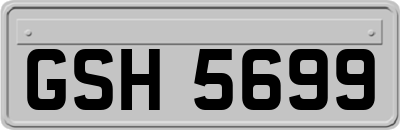 GSH5699
