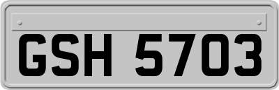 GSH5703