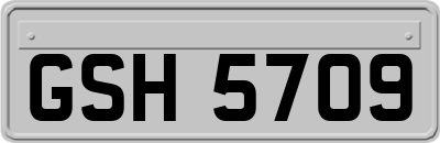 GSH5709