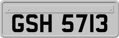 GSH5713